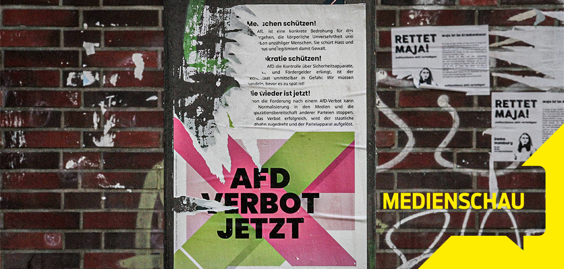 Medienschau: AfD-Jammer