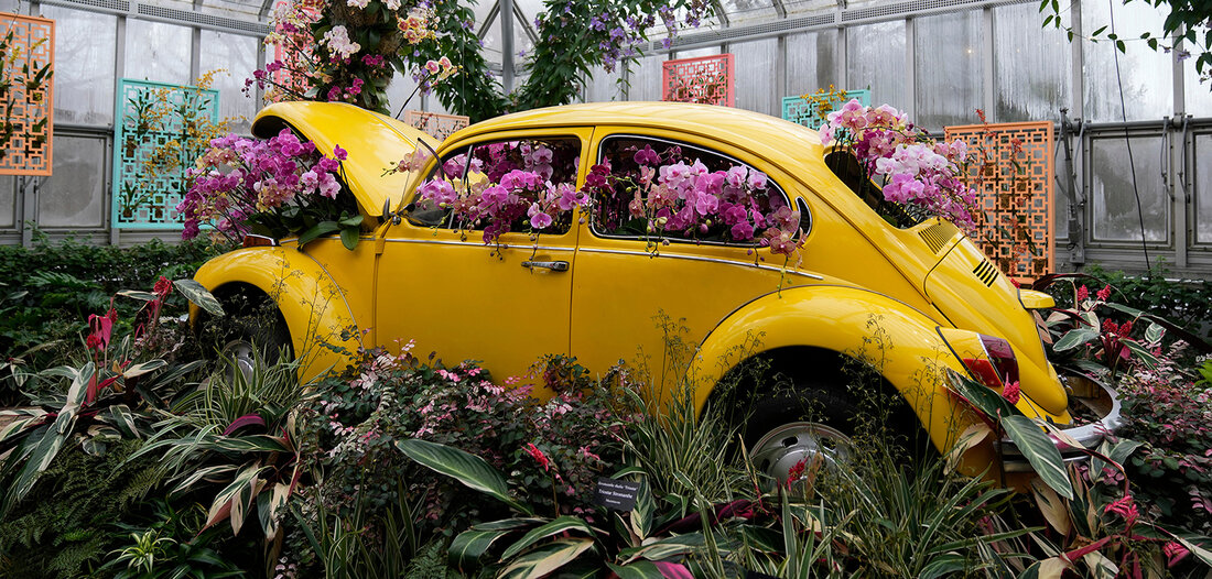 Industriepolitik: Blume will stillegen