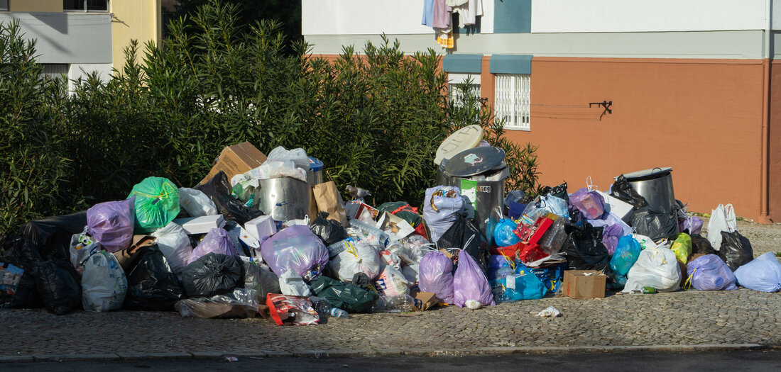 Porträt: Politökonomen des Tages: Ukrainische Müllmänner
