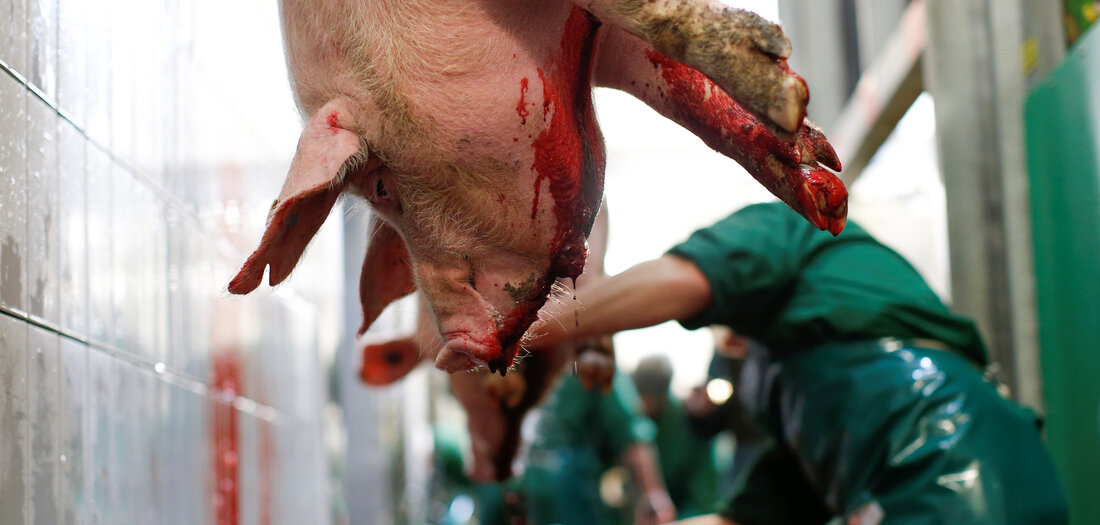 Lebensmittelindustrie: Fachkraft nur auf dem Papier