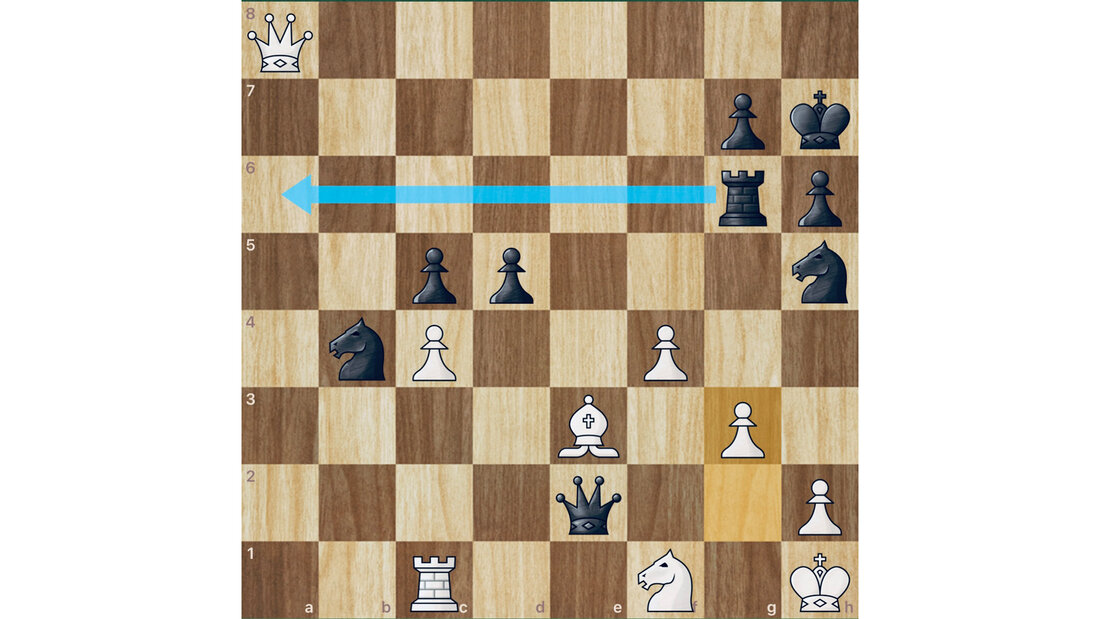 16_schach.jpg