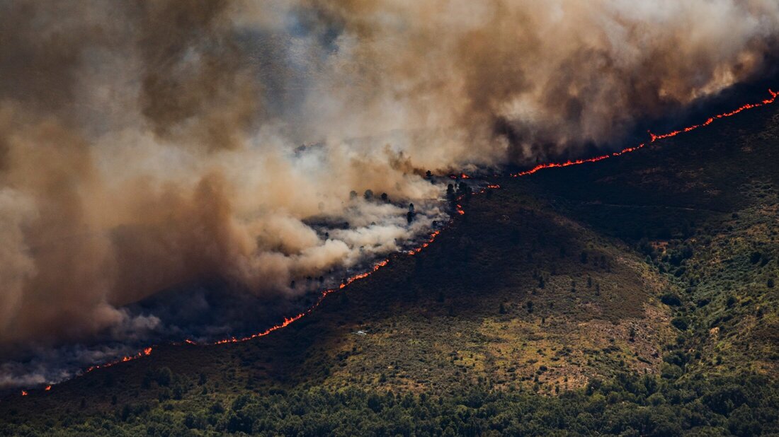 Spain Wildfires.jpg
