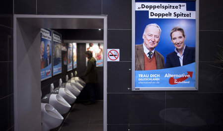 Hier hängen sie richtig. AfD-Plakate auf einem Berliner Herrenkl...