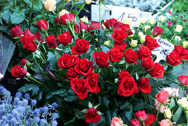 Wer fragt schon, wo die Blumen herkommen ...
