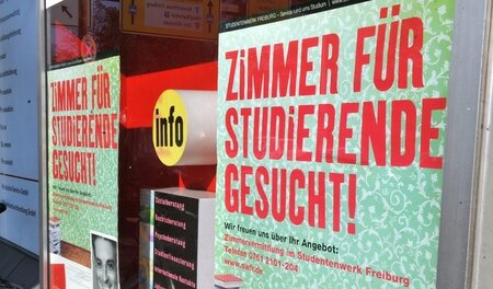 Schwarzes Brett in der Uni Freiburg (Baden-Württemberg): Studien...
