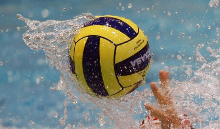 Im Reformprozess: deutscher Wasserball Im Reformprozess: deutscher Wasserball