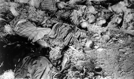 Zu Tode geschunden. Häftlinge im Konzentrationslager Mittelbau-D...