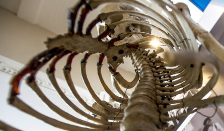 Vielleicht gibt es bald einen Bausatz von Ikea ...