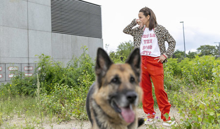 Ein Modeblog, ein Schäferhund und der Faschismus – das wäre auch...