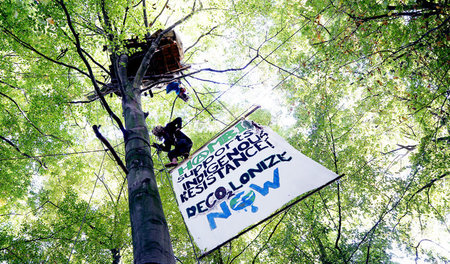 Mit seinem einzigartigen Ökosystem gehört der Hambacher Wald zu ... Mit seinem einzigartigen Ökosystem gehört der Hambacher Wald zu ...