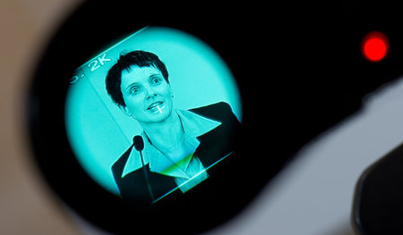 Liebling der Talkshows: Frauke Petry