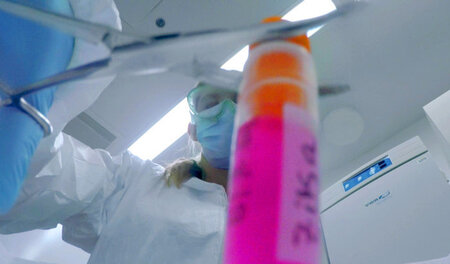 Wieder trifft es vor allem die Armen: »Zika – Die wahre Geschich... Wieder trifft es vor allem die Armen: »Zika – Die wahre Geschich...
