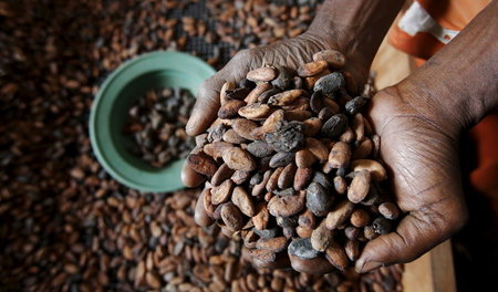 Ein Arbeiter der Export Firma SAF CACAO in San Pedro, Côte d'Ivo...