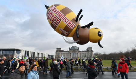 Protest gegen die Agrarindustrie in Berlin (20.1.2018)