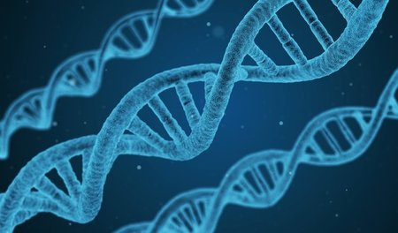 Unsere DNA soll schöner werden! Aber wie lange reden wir noch vo...