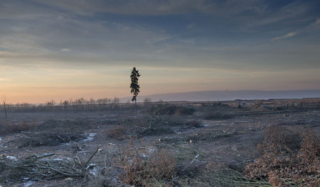 Die RWE-Power-AG hat für den Braunkohletagebau ein weiteres Stüc...