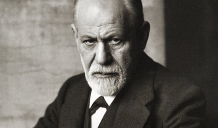 Die Psychoanalytiker geben nicht auf: Und Sigmund Freud schon ga...