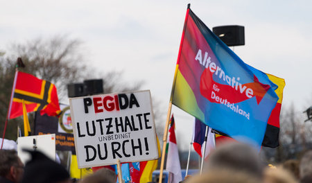 Der Kampf um die Straße: Die AfD will Pegida-Anhänger ködern, de...
