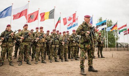 Multinationale NATO-Truppe während des Manövers Noble Jump 2015 ...