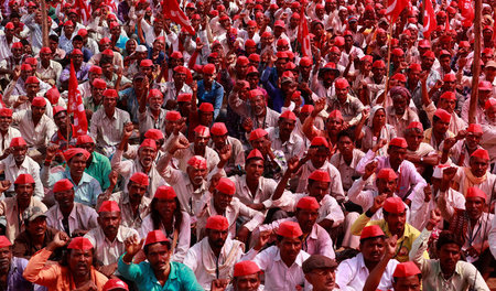 Rote Kappen gegen die Existenzangst: Tausende Bauern demonstrier...