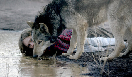 Als Ania (Lilith Stangenberg) einem Wolf begegnet, ändert sich i... Als Ania (Lilith Stangenberg) einem Wolf begegnet, ändert sich i...