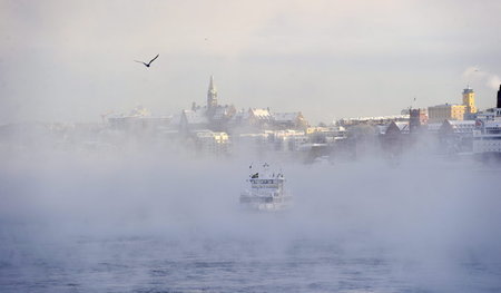 Der Knüller: Es gibt Eis. Und Nebel