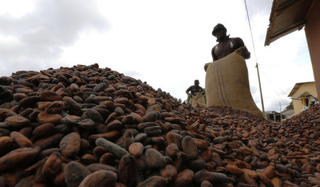 Kapitalistische Widersprüche: Obwohl Länder wie Ghana und Côte d... Kapitalistische Widersprüche: Obwohl Länder wie Ghana und Côte d...