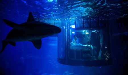 Auch eine Plattform unter Wasser ist kapitalistisch – Airbnb-Sho...