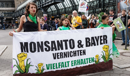 In Hamburg beteiligten sich 600 Demonstranten an den Protesten (...
