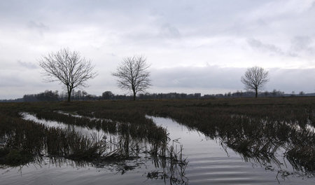 Ein preußisches Amazonien: Norman Ohlers Protagonist Leonhard Eu...