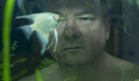 Selbstfindung vor dem Aquarium: »Herbert«