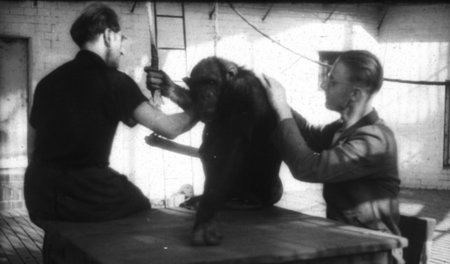Wie alles begann: Tembrock (r.), Susi lausend (13. Mai 1947 im Z... Wie alles begann: Tembrock (r.), Susi lausend (13. Mai 1947 im Z...
