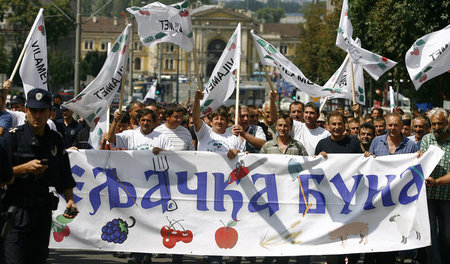 Bereits im August 2009 demonstrierten Hunderte Himbeerbauern in ...