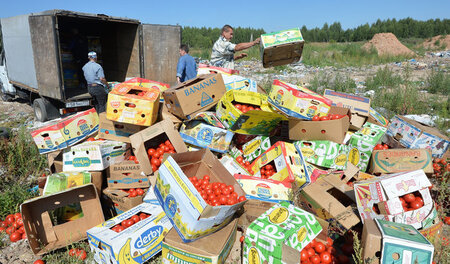 Tomaten aus Belorussland werden hinter der Grenze konfisziert (G... Tomaten aus Belorussland werden hinter der Grenze konfisziert (G...
