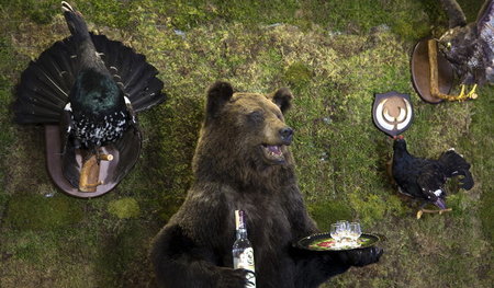 Ruhig, Brauner, ruhig. Trink erst mal einen – Russland kommt wei...