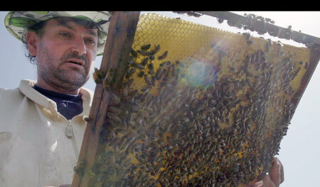 Bioimker Wilhelm Tartler sorgt sich um seine Bienen: »Re: Gift i...