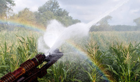 Keine dauerhafte Lösung: Noch ist genug Wasser da, um ausgetrock...