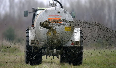 Ohne High-Tech: Landwirt verteilt Gülle gleichmäßig auf einem Fe...