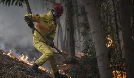 Verheerende Waldbrände an der Algarve im Süden Portugals (6. Aug...