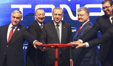 Die Präsidenten Nordzyperns, Aserbaidschans, der Türkei, der Ukr...