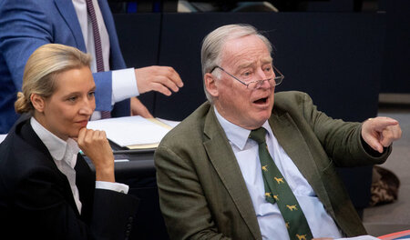 Die Krawatte ist noch das Sympathischste: Die AfD ist nicht nur ...