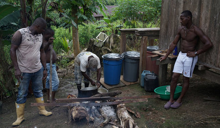 »Der Kokaanbau stellt für Bauernfamilien und Kleinproduzenten oh...