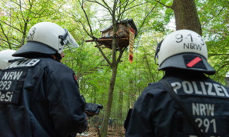 Bahn frei für RWE: Polizisten stehen am Mittwoch vor einem Baumh... Bahn frei für RWE: Polizisten stehen am Mittwoch vor einem Baumh...