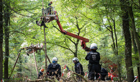 Polizeieinsatz im Hambacher Forst (5.9.18)