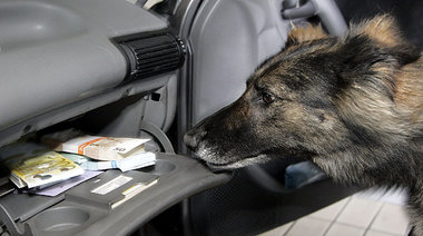 Schwerstarbeit für »Voxi«. Die Spürhündin wird vorrangig an den ...