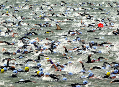 Im Triathletenteich entwickelt sich leichte Panik
