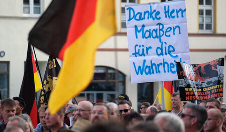 Ob er will oder nicht: Der braune Mob hat sich Hans-Georg Maaßen...