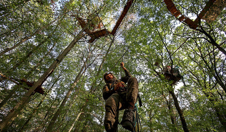 »Klassischer Fall einer Konfrontation zwischen einem Konzern und...