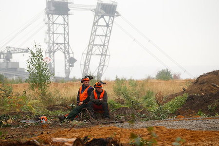 Nicht benötigt: RWE-Holzfäller in der Nähe des Hambacher Forsts,...