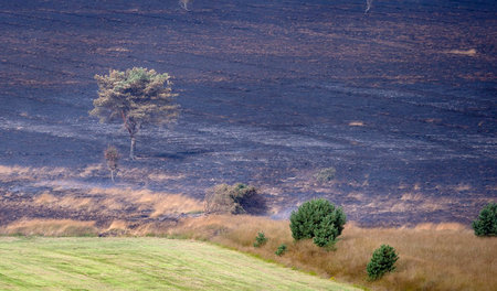Warum in dem durch Dürre ausgetrockneten Moor überhaupt Kriegswa...